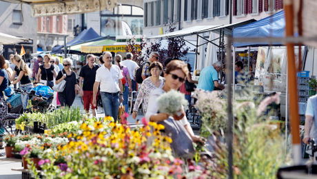 Markt in Olten