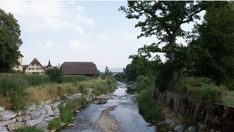 Mühle in Brittnau
