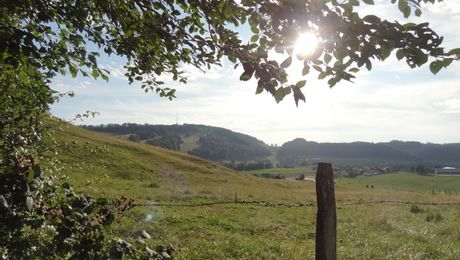 Blick zum Les Ordons