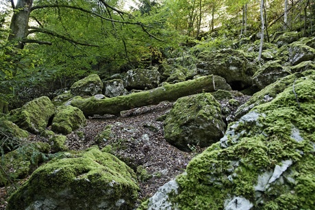 Tüfelsschlucht