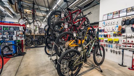Cycling Sport Wild Werkstatt