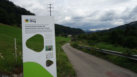 Unterwegs zwischen Olten und Aarburg