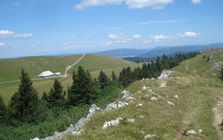 Sömmerungsbetrieb am Chasseral Sömmerungsbetrieb am Chasseral