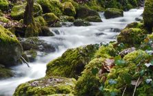 Teufelsschlucht Teufelsschlucht