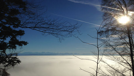 Auf dem Allerheiligenberg