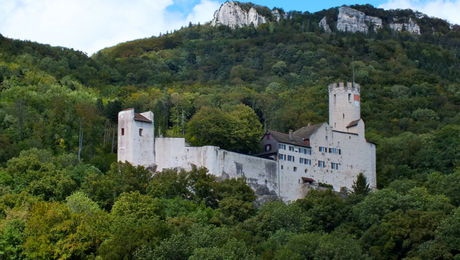 Schloss Neu-Bechburg