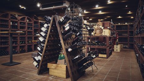 Weinkeller Rüttelpult