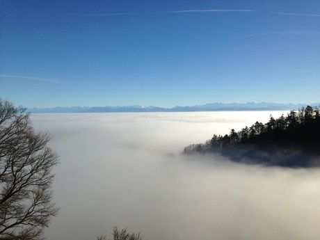Auf dem Allerheiligenberg