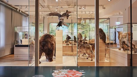 Ausstellung Naturmuseum