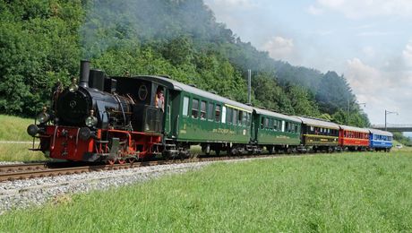 Dampfzug