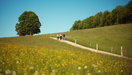 Auf der Wanderung - © Schweiz Tourismus Hannes Heinzer