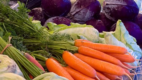 Wochenmarkt Kirchgasse