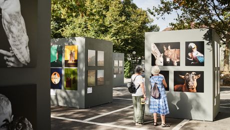 Photoville4600