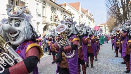 Umzug Fasnacht 2025 - FUKO Olten