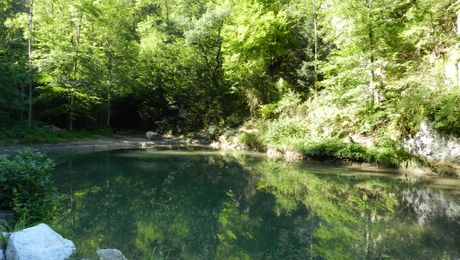 In der Tüfelsschlucht