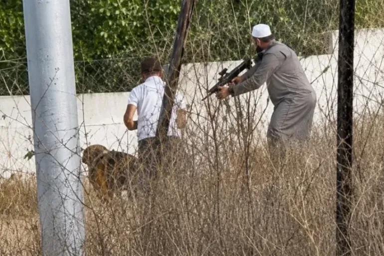 فلسطينيون يردون على اعتداءات المستوطنين في الضفة الغربية