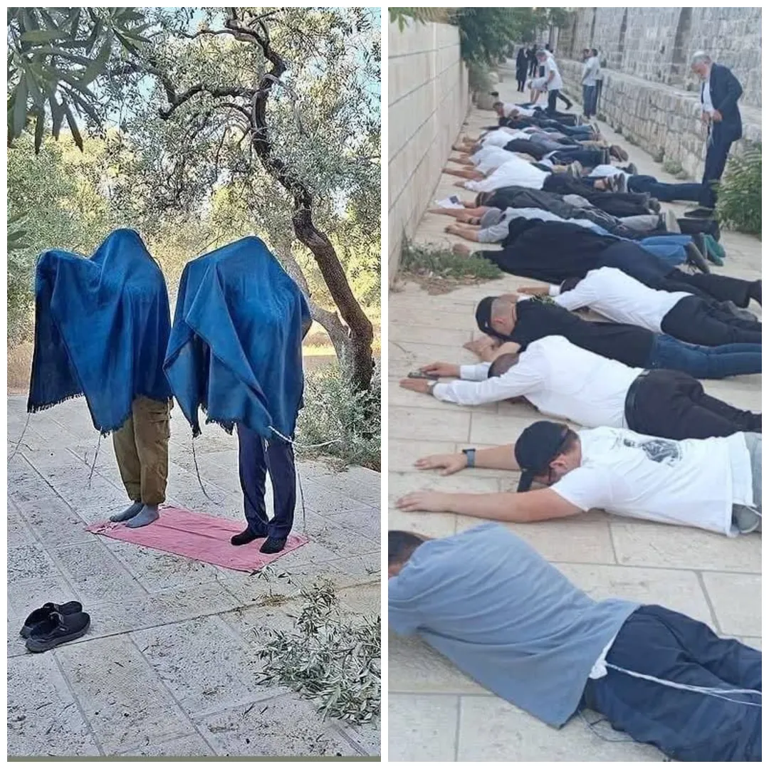 584 مستوطناً يقتحمون الأقصى بحماية الاحتلال