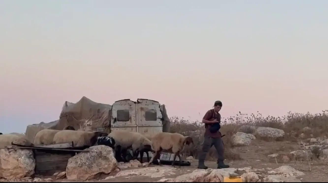 مستوطنون وجنود الاحتلال يصيبون 10 فلسطينيين في الخليل