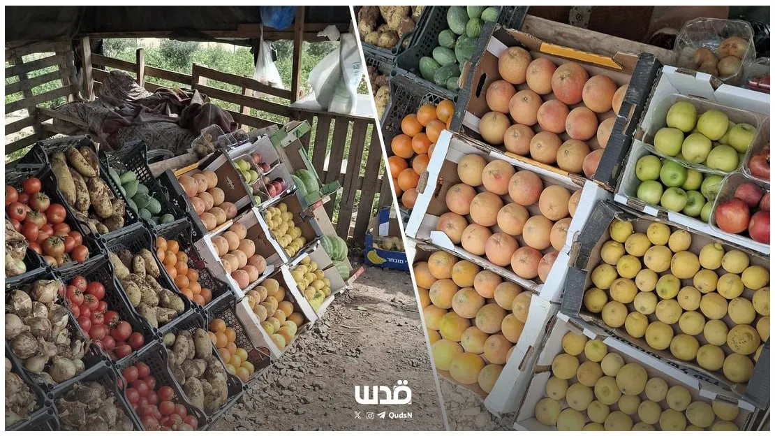 خاصl بعد هدمها قبل 3 أشهر.. الاحتلال يخطر بسطة عبدالكريم فقها بالإزالة مجددًا في الأغوار