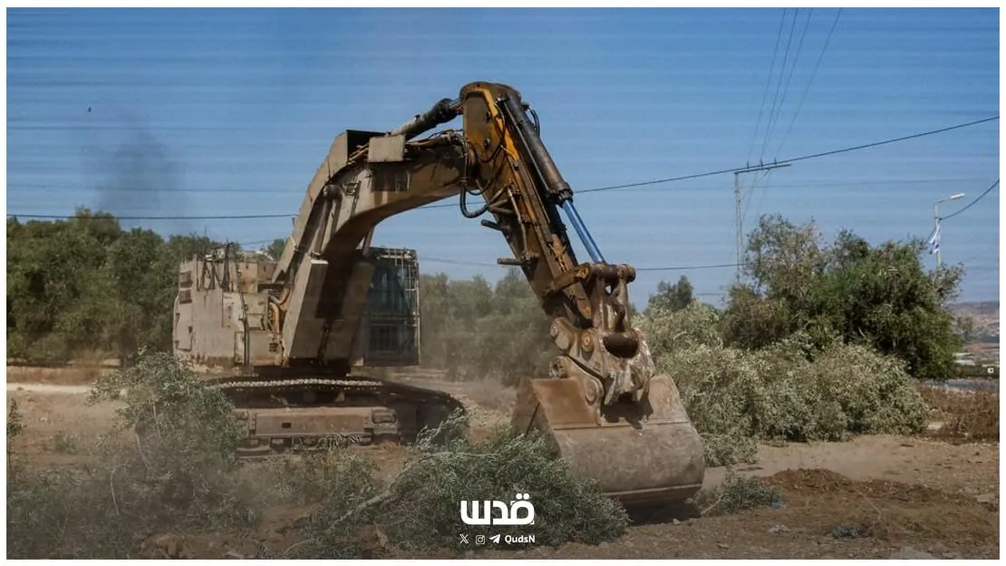 موسم الزيتون بالضفة يواجه المصادرة والاستيطان