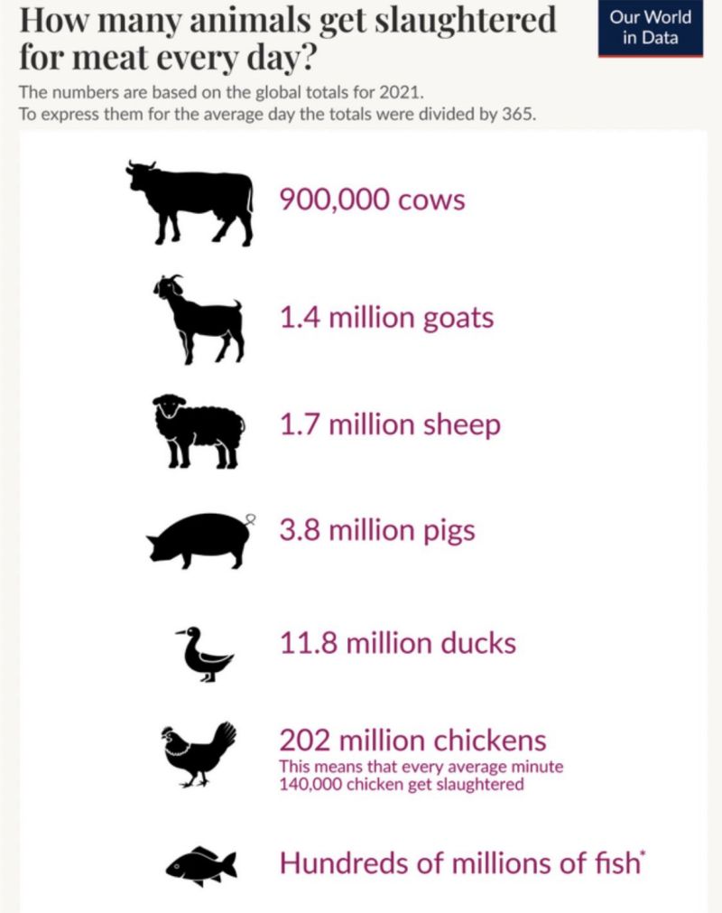 Das kann doch unmöglich nachhaltig sein.