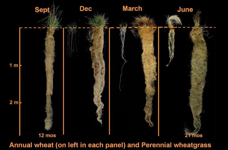 𝟯 𝗿𝗲𝗮𝘀𝗼𝗻𝘀 𝘄𝗵𝘆 "𝗯𝗮𝗰𝗸 𝘁𝗼 𝘁𝗵𝗲 𝗯𝗮𝘀𝗶𝗰𝘀"