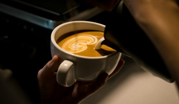 7 Best Alternatives to Cuppa Mushroom Coffee Worth Trying in 2026