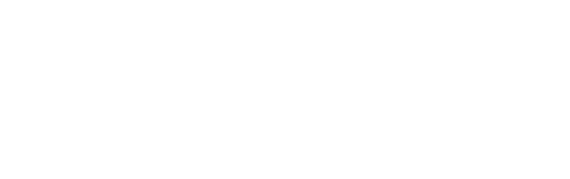 Guitarist Evolution