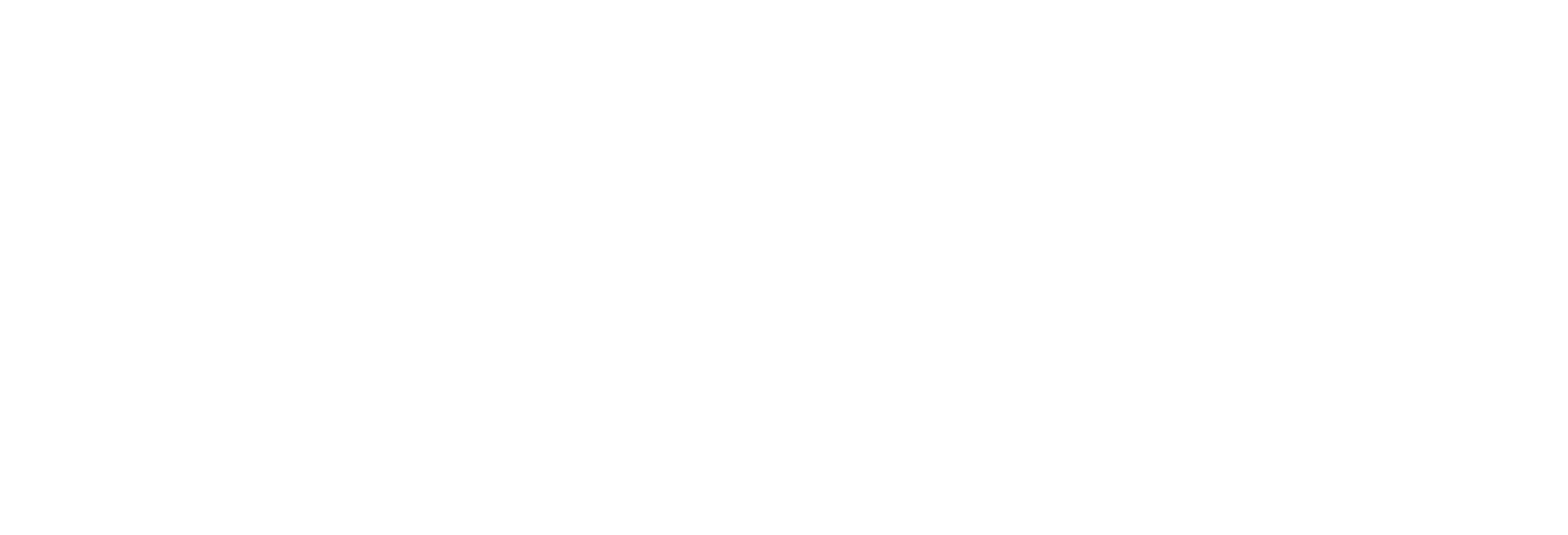Karate Kung Fu Evolution