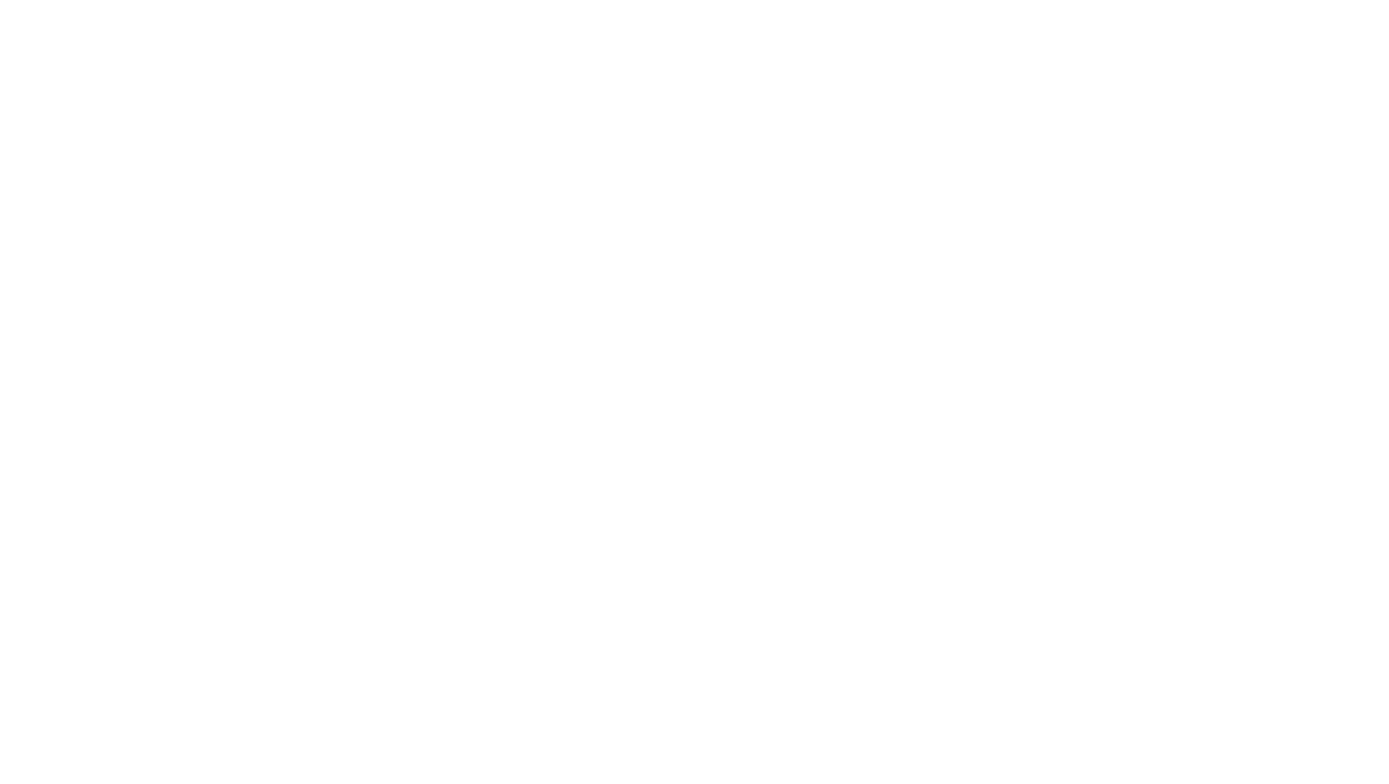 Geek Evolution