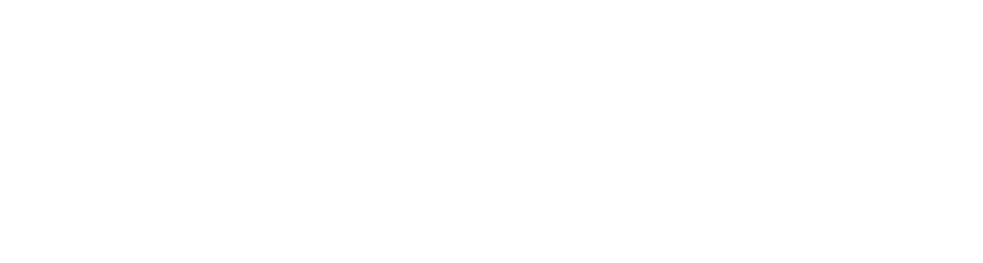 Go Kart Evolution