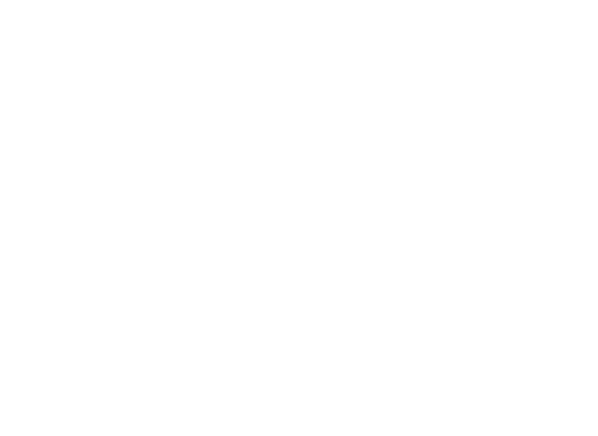Dachschaden