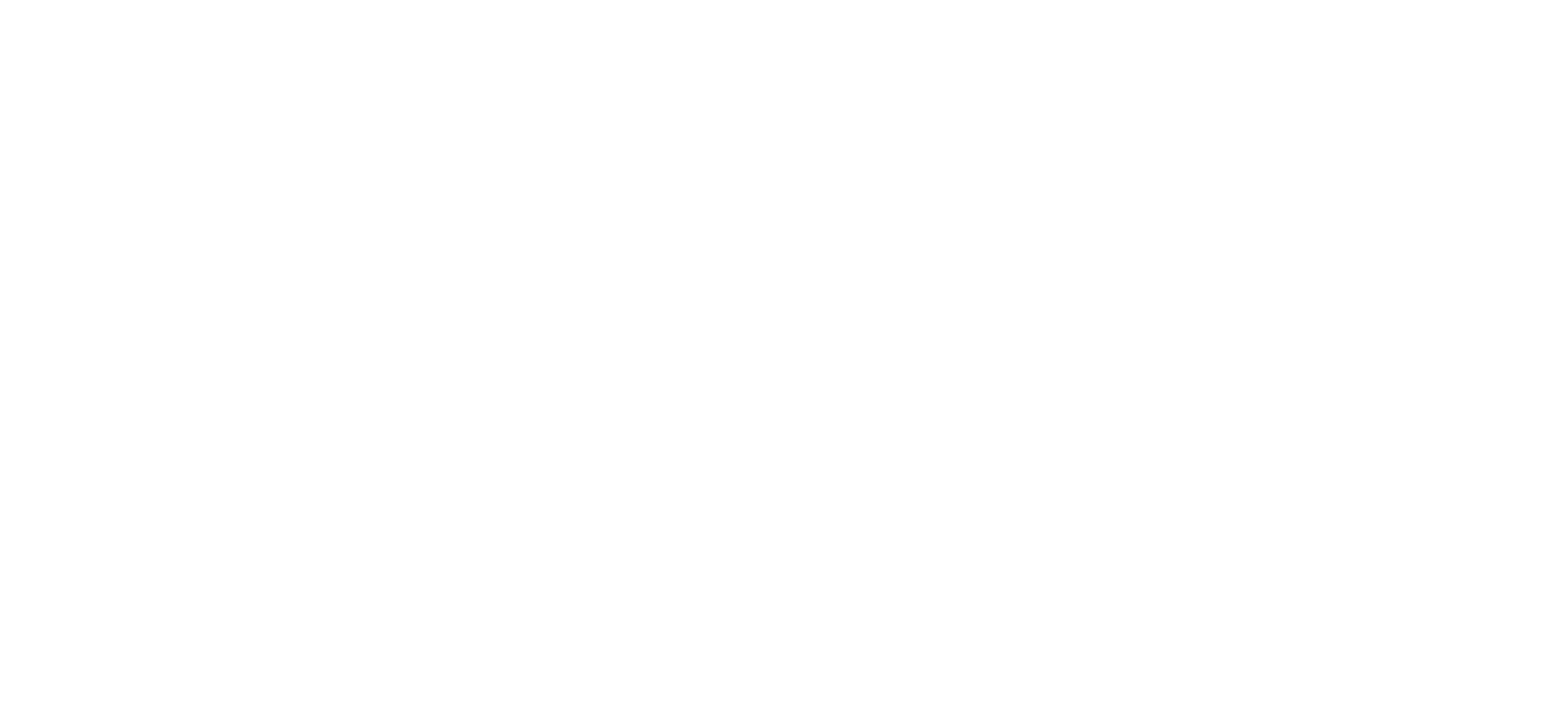 Painter Evolution