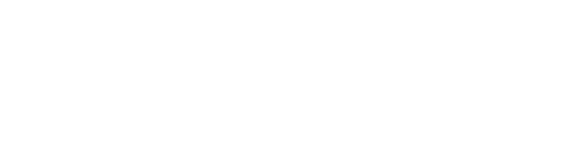 Camper Evolution