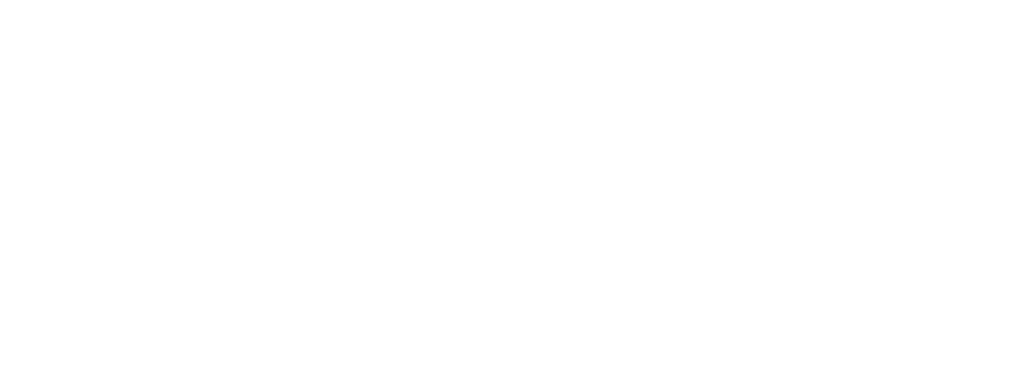 Boxer Evolution