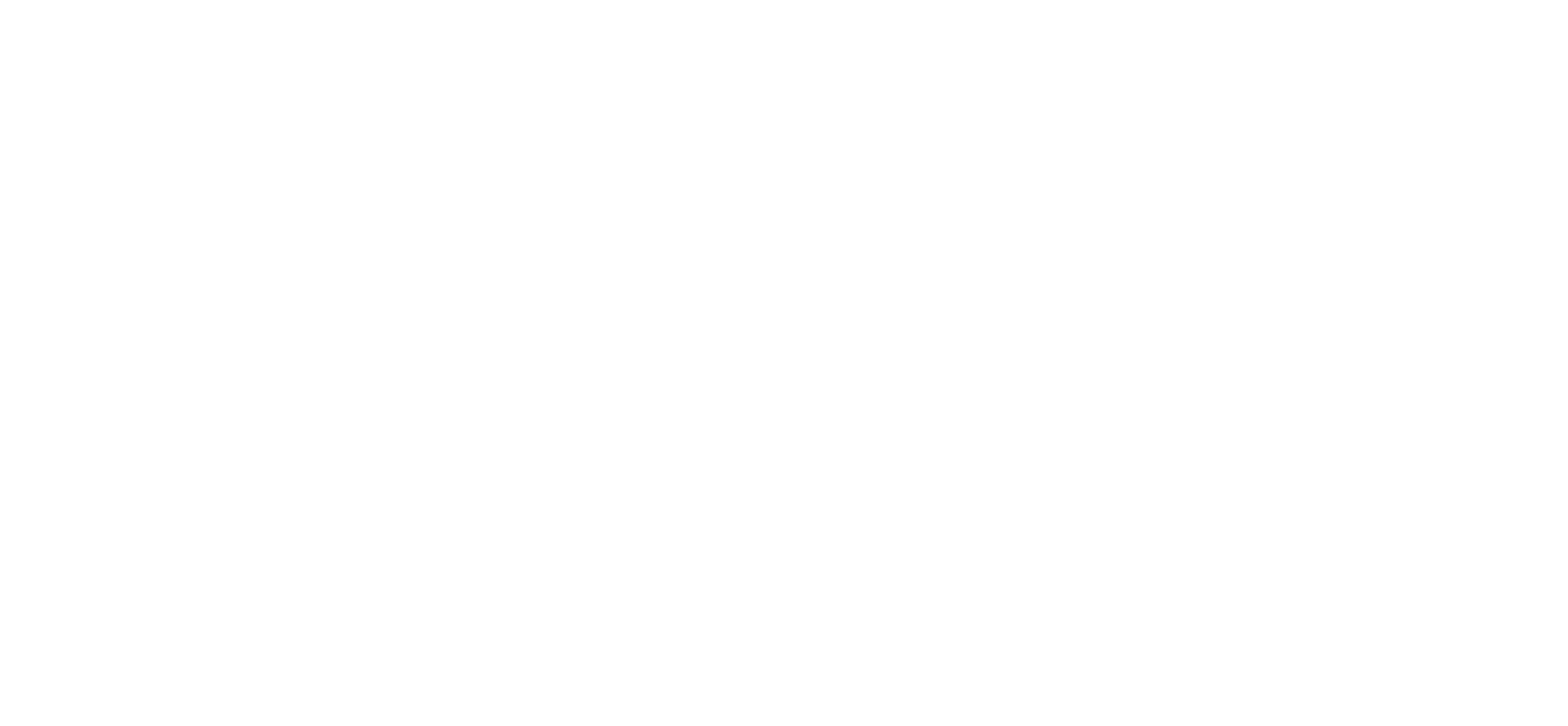 DJ Evolution
