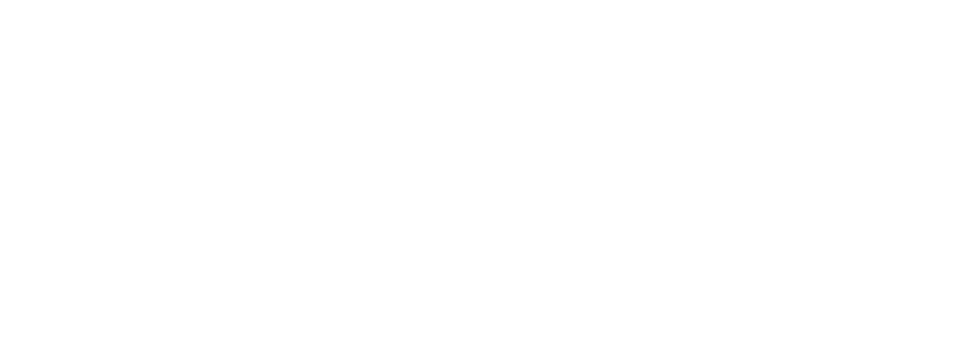 Violinist Evolution
