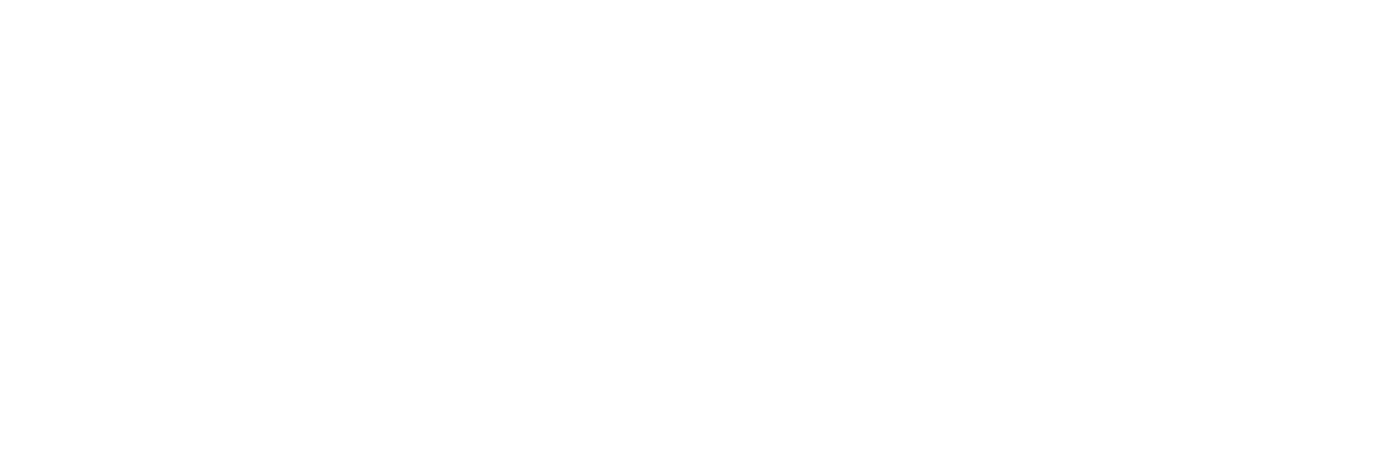 Kickboxing Evolution