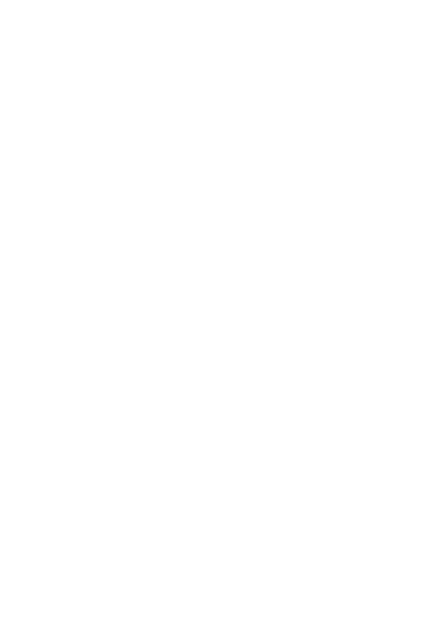 Taekwondo Fighter