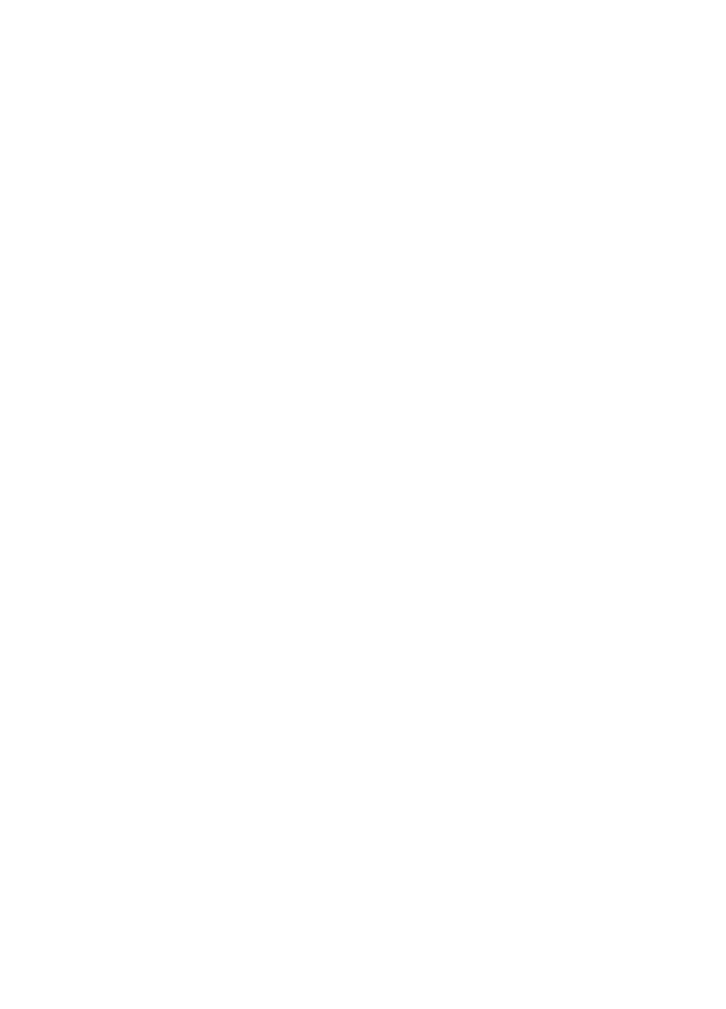 Wheelchair Invalid Chair