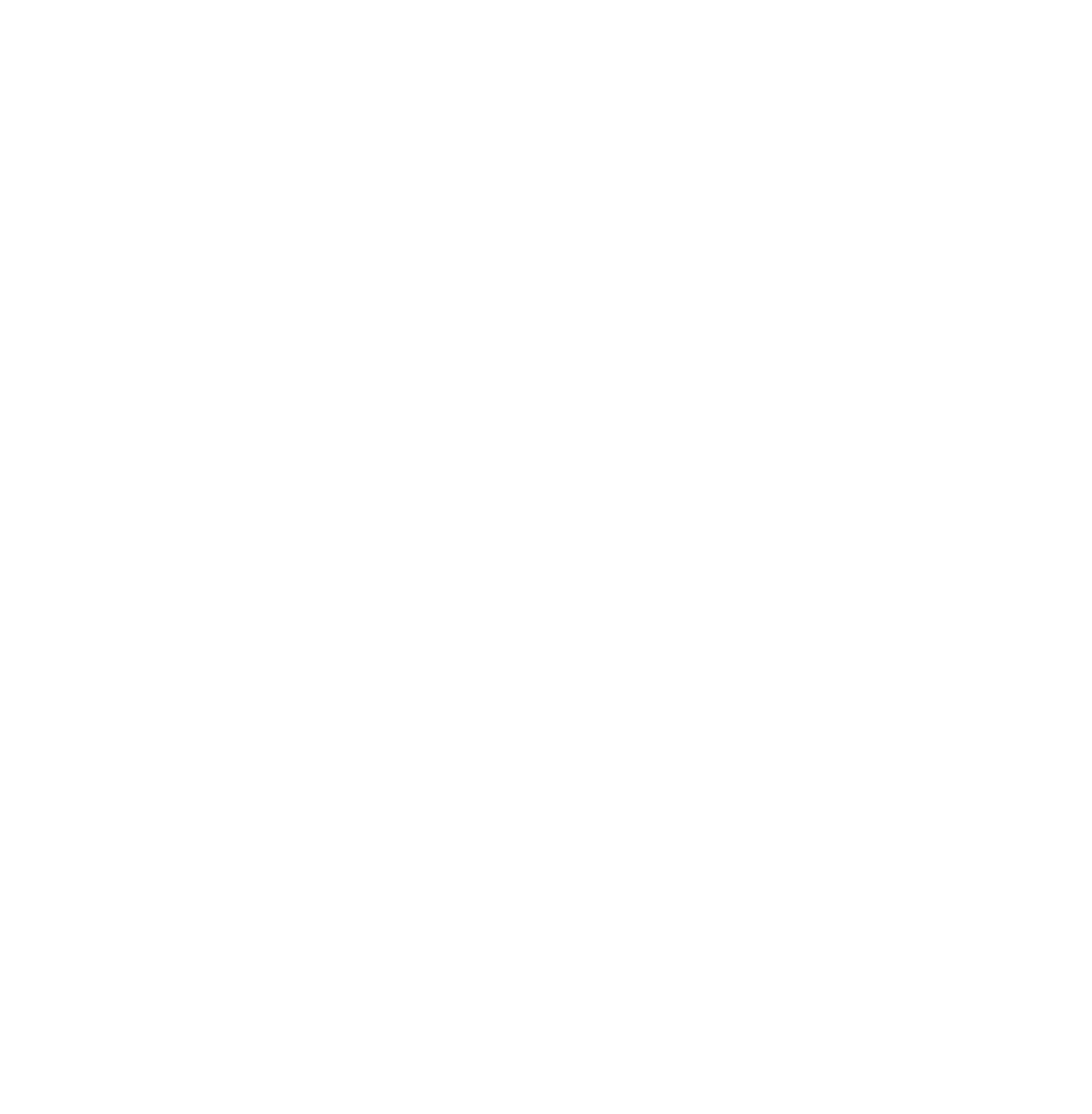 Future Pilot