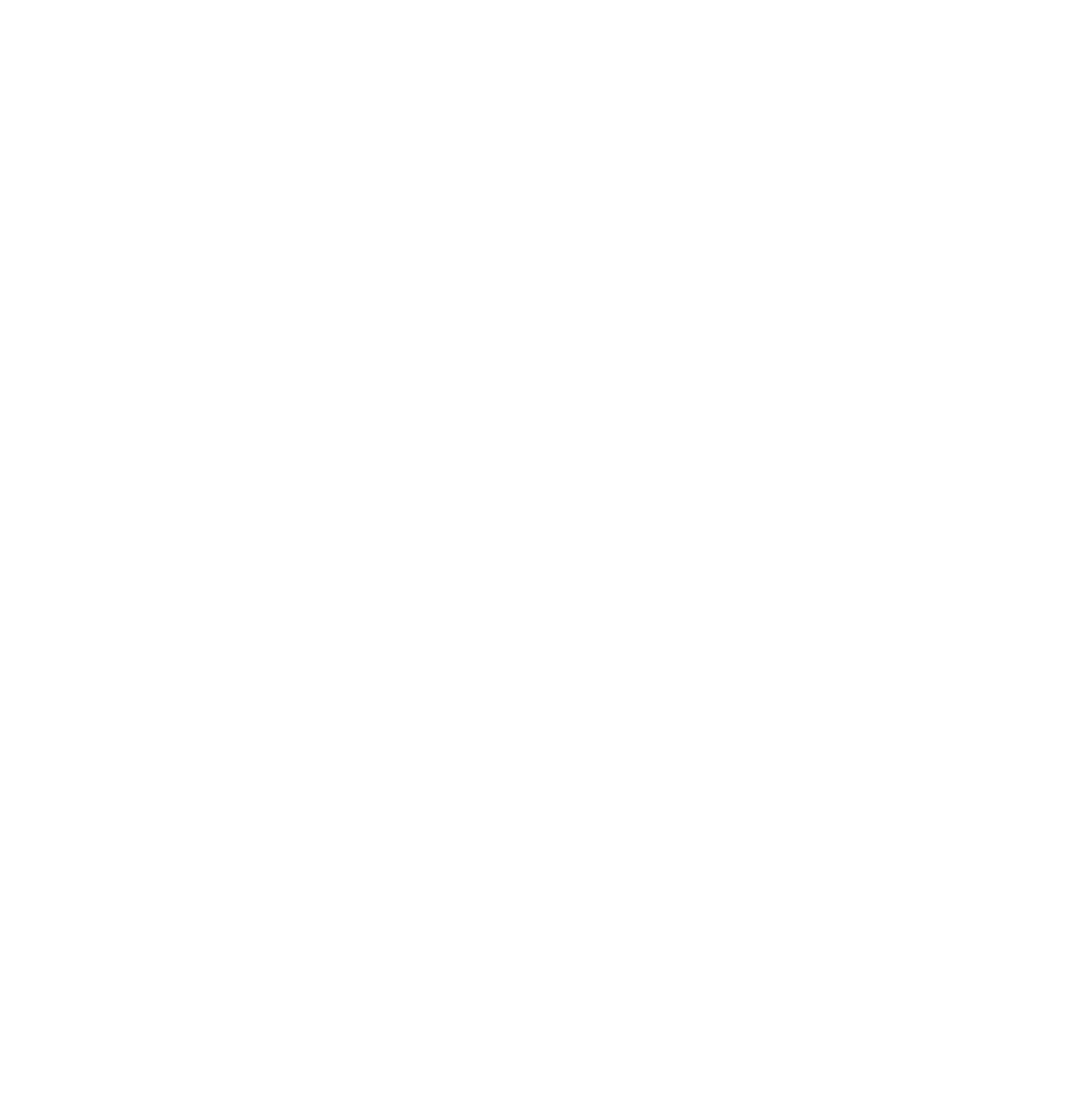 Sie kam sah und siegte