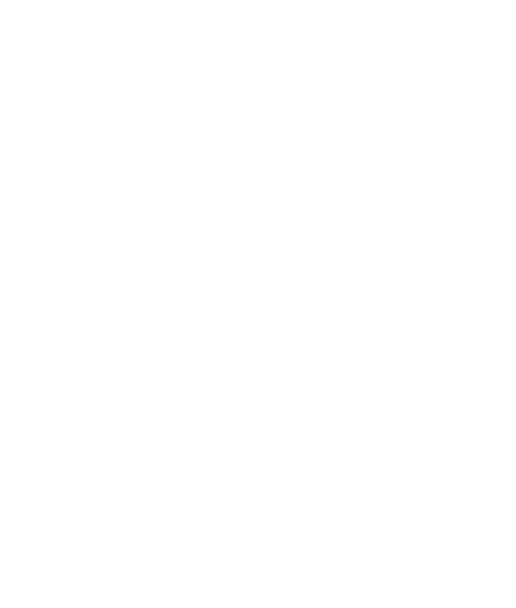 Rabbit Face