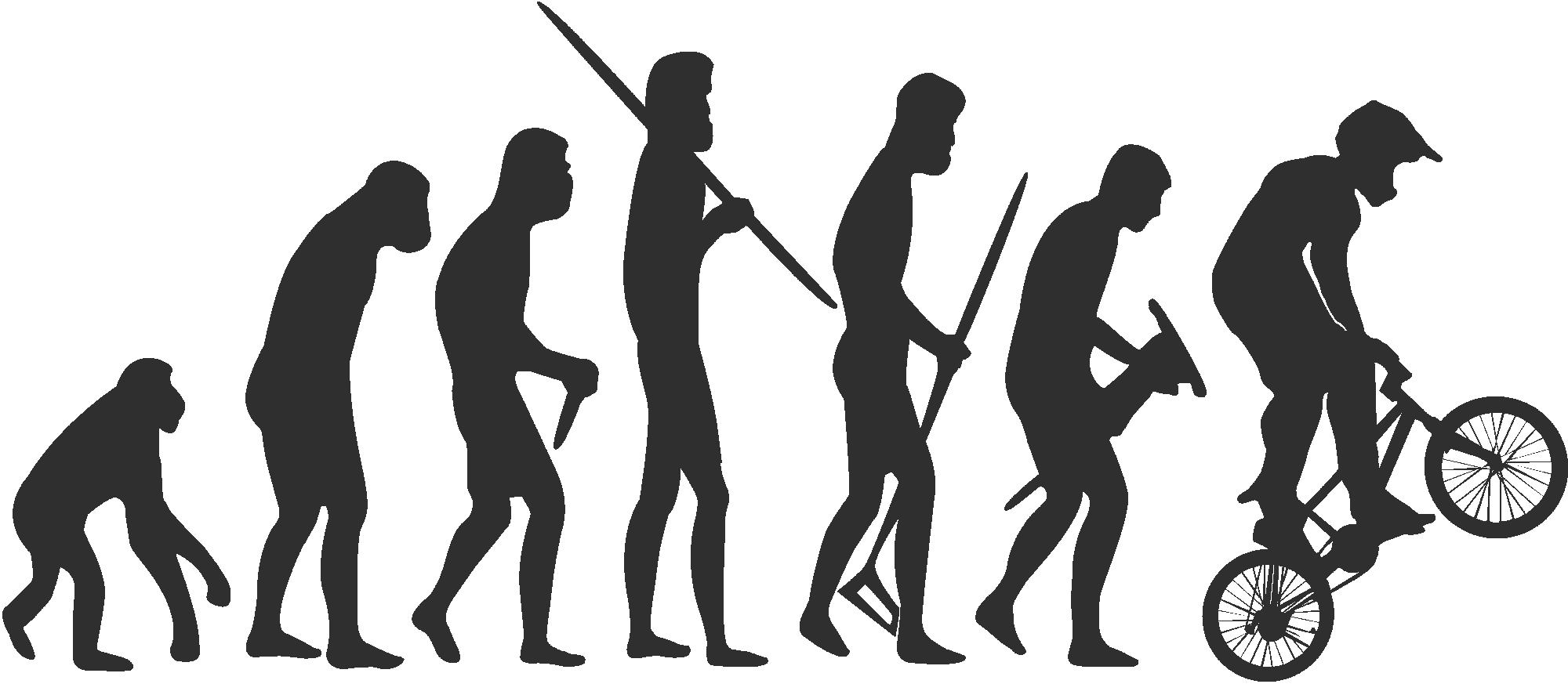 BMX Evolution