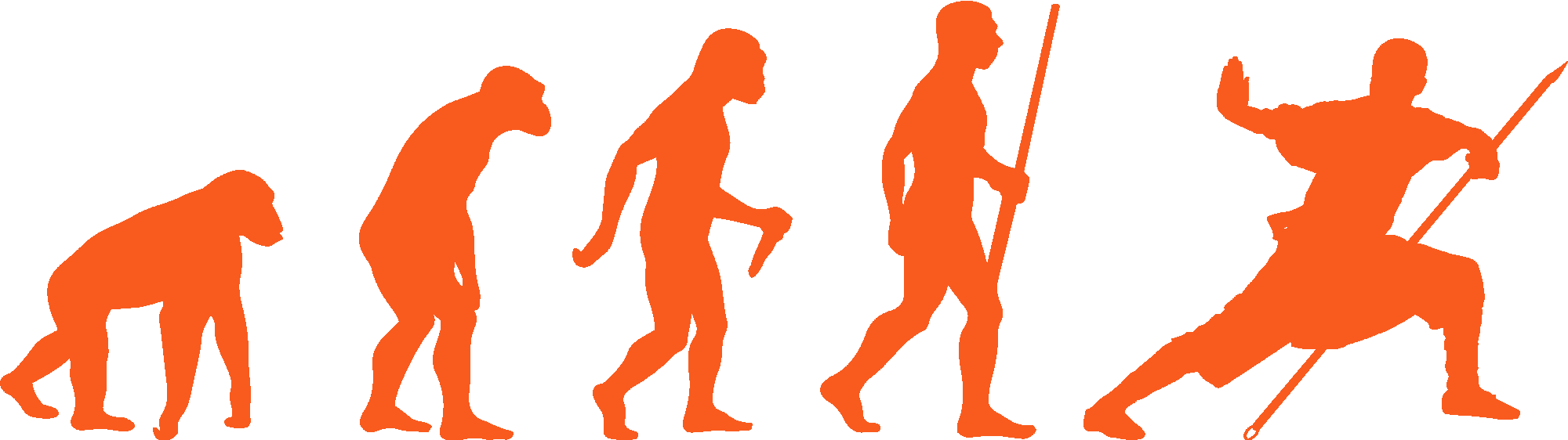 Kung Fu Evolution