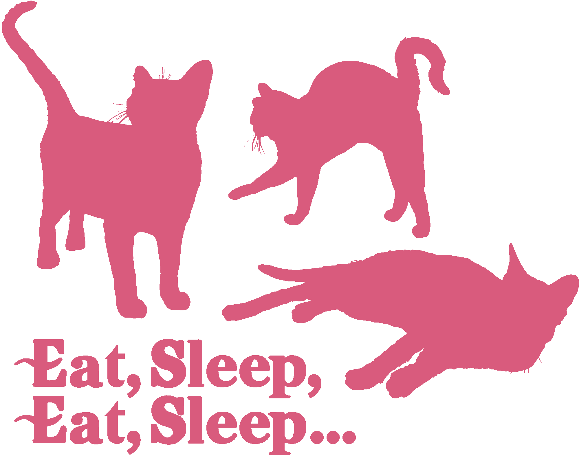 Relax Cats