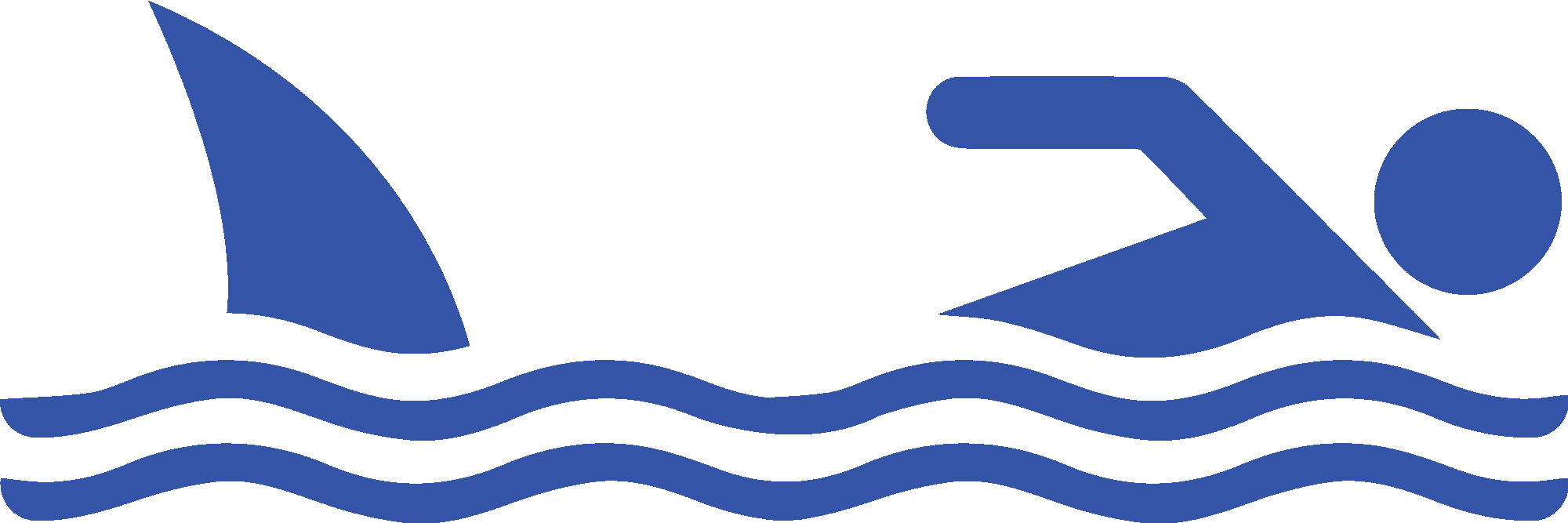 Shark And Swimmer