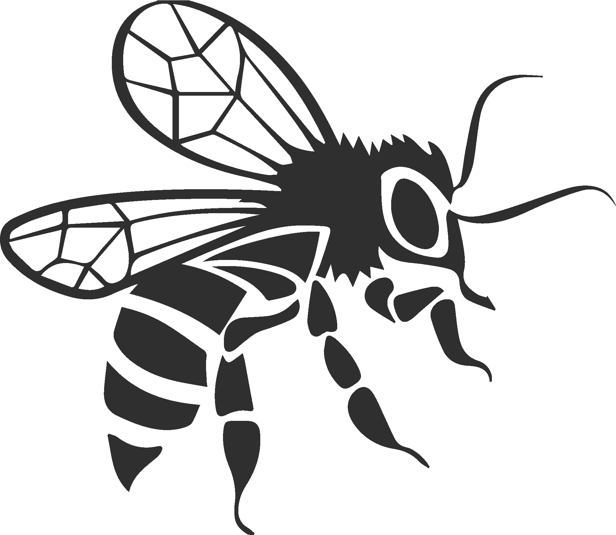 Flying Bee Wasp