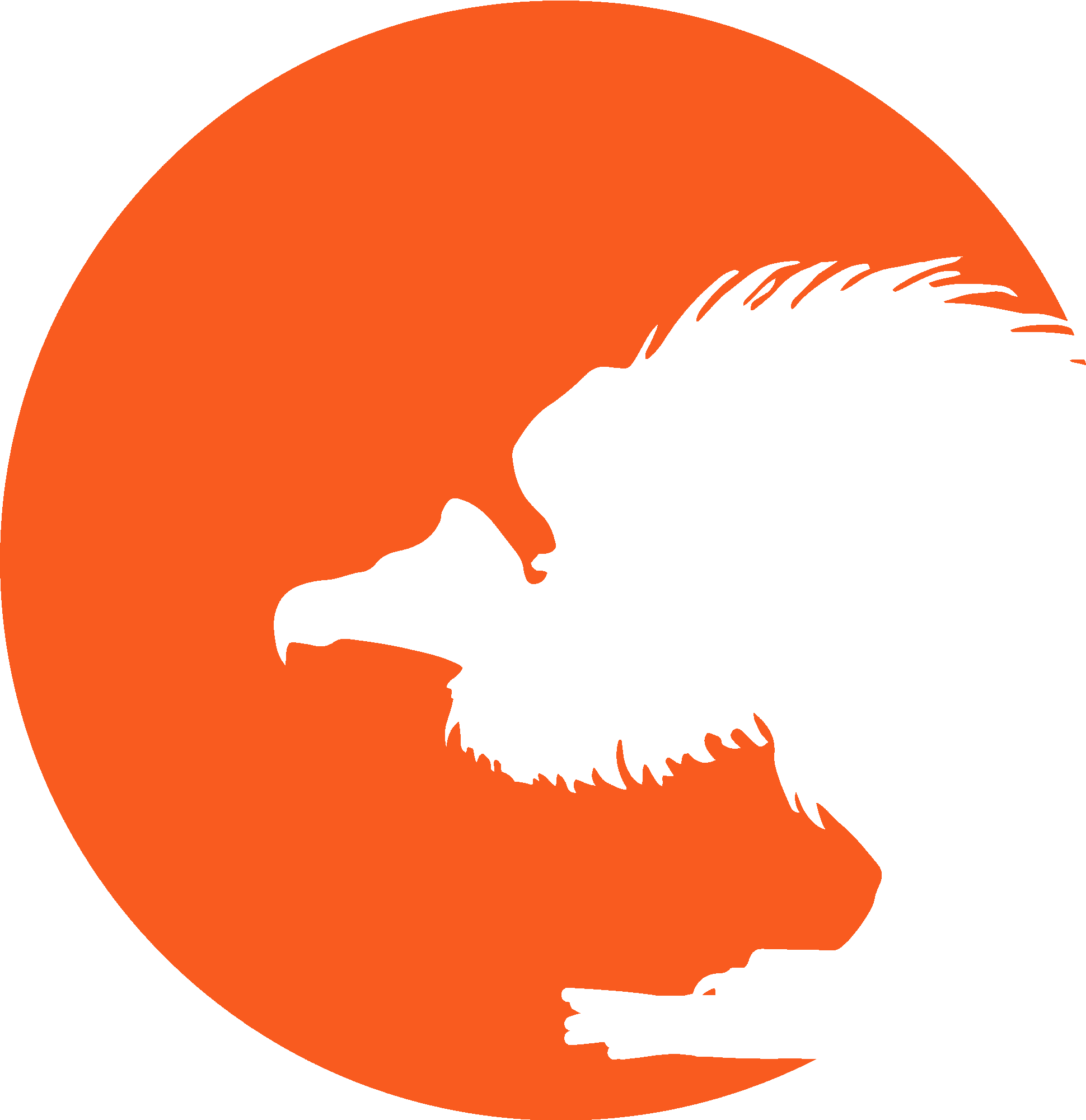 Moonlight Vulture