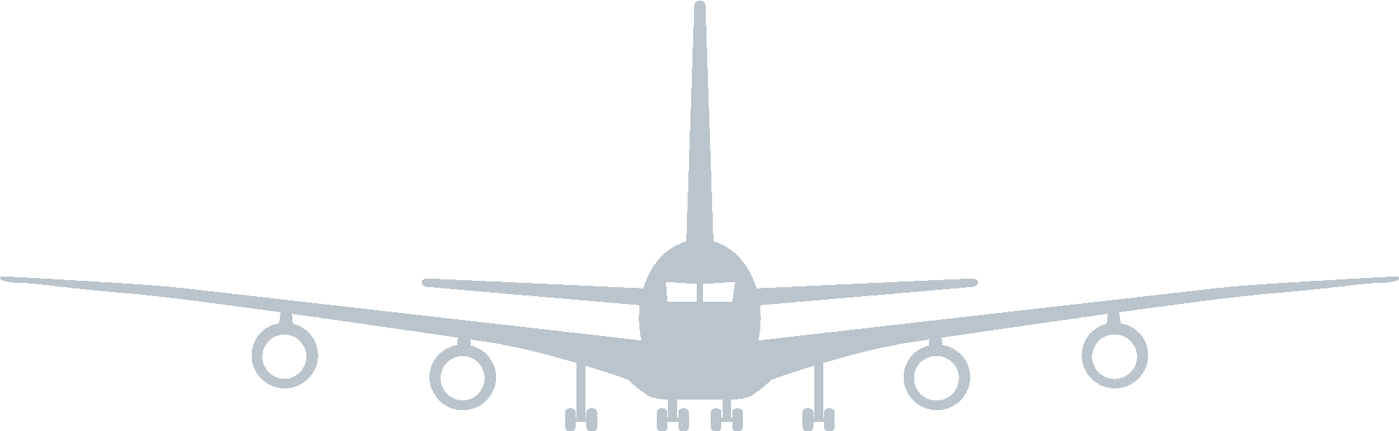 Airplane Landing